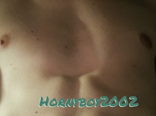 Hornyboy2002