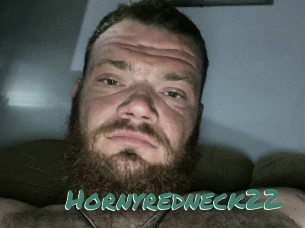 Hornyredneck22