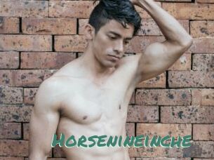 Horsenineinche