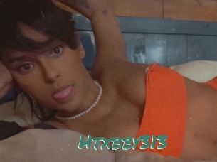 Htxbby313