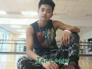 Iam_mrv