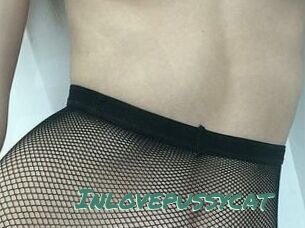 In_love_pussycat