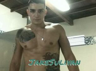 Jake_Sulivan