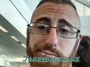 Jakesbigsnake