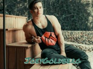 JoeyGoldberg