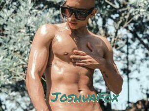 JoshuaFox