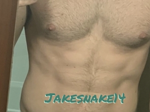 Jakesnake14