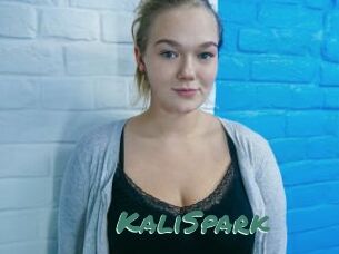 KaliSpark
