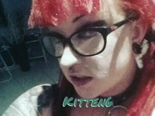 Kitten6