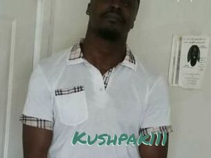 Kushpak111