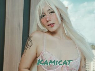 Kamicat