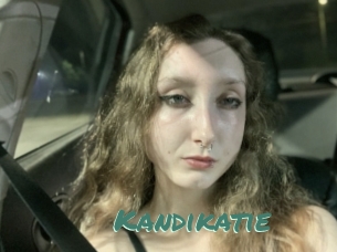 Kandikatie