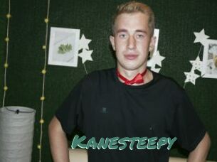 Kanesteepy