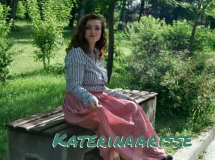 Katerinaarisse