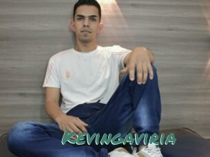Kevingaviria