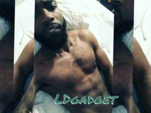 LDgadget