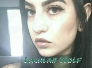 Lachlan_Wolf