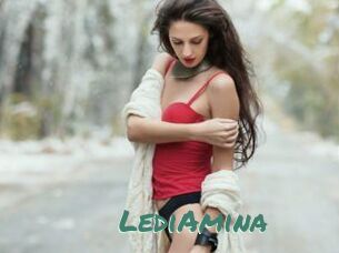 LediAmina