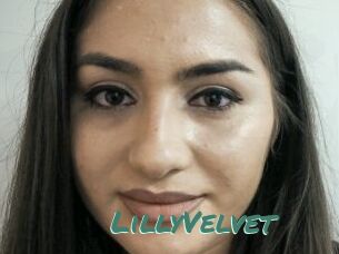 LillyVelvet