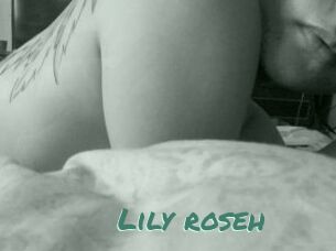 Lily_roseh