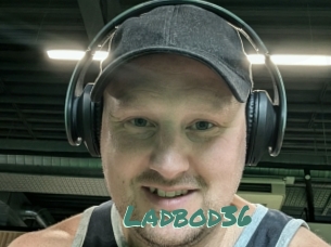 Ladbod36