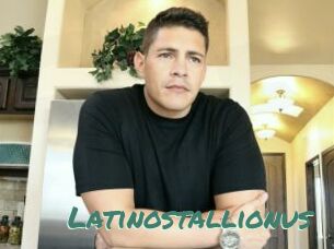 Latinostallionus