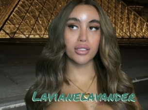 Lavianelavander