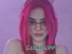 Lillipupp