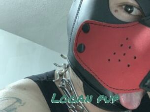 Logan_pup