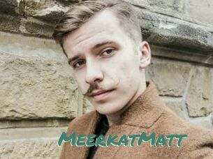 MeerkatMatt