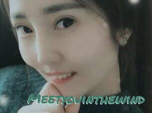 Meetyouinthewind