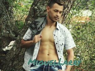 MiguelLarry
