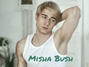 Misha_Bush
