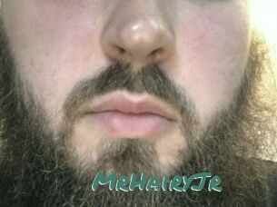 MrHairyJr