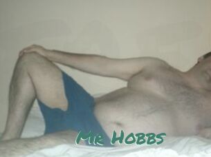 Mr_Hobbs