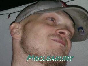 Mrcleanindy