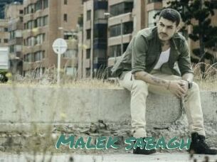 Malek_sabagh