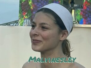Malvinesley
