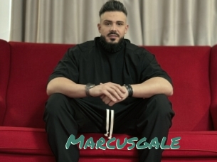 Marcusgale