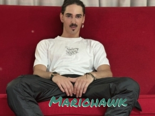 Mariohawk