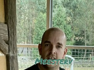 Meesterv
