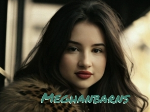 Meghanbarns