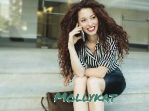 Mollykat