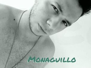 Monaguillo
