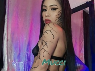 Mucci