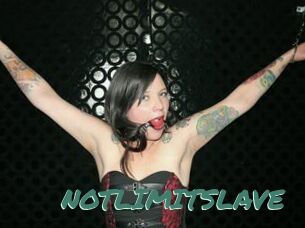 NOTLIMITSLAVE