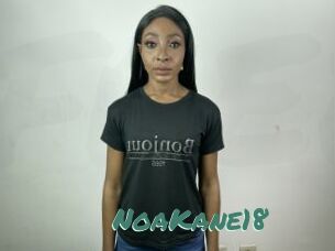 NoaKane18