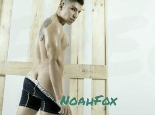 NoahFox