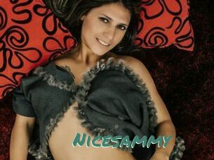 Nicesammy
