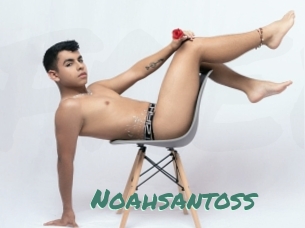 Noahsantoss